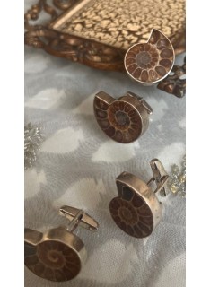 ammonite cufflinks