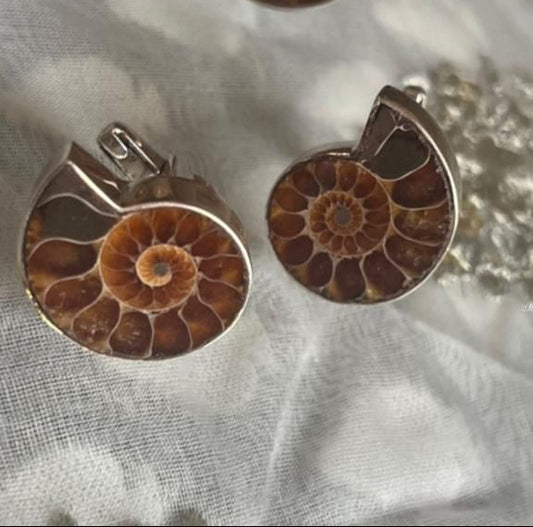 Ammonite Fossil Cufflinks in Sterling Silver – Handcrafted Unisex Jewelry - Antiqa Handcrafted